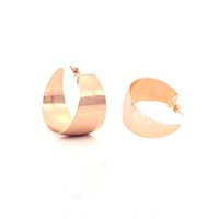 Earrings Unoaerre Woman Bronze in Bronze EX04288R - EX04288R